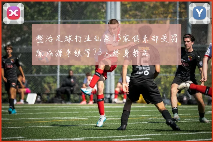 整治足球行业乱象13家俱乐部受罚陈戌源李铁等73人终身禁足