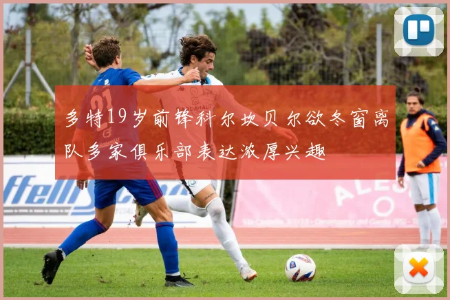 多特19岁前锋科尔坎贝尔欲冬窗离队多家俱乐部表达浓厚兴趣