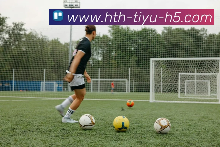 华体会体育服务体系